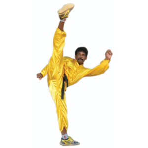 Kung Fu