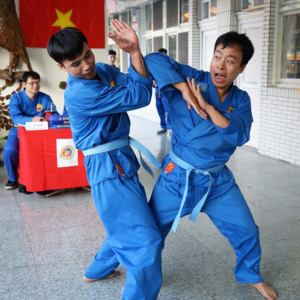 Vovinam
